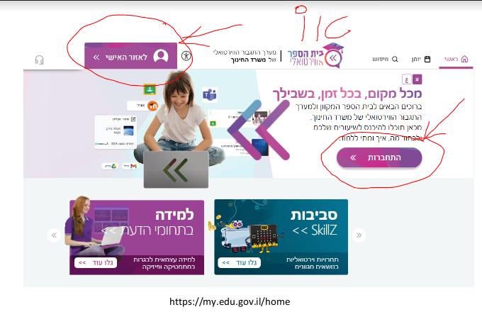 שקף_אגי_ביס_וירטואלי