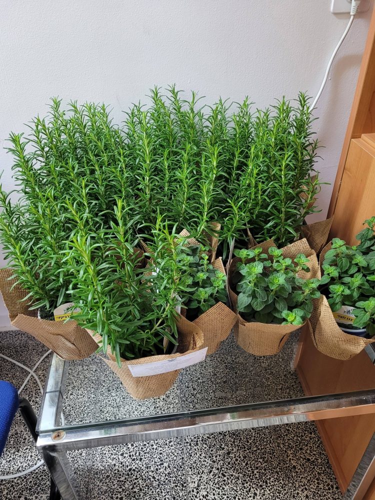 614601675_1307605354506730_8042530410779785406_n